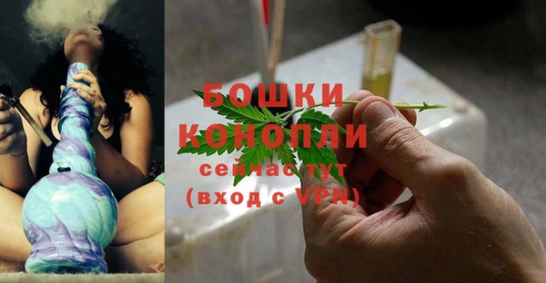 дмт Переславль-Залесский
