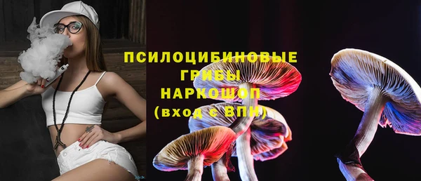 индика Пересвет