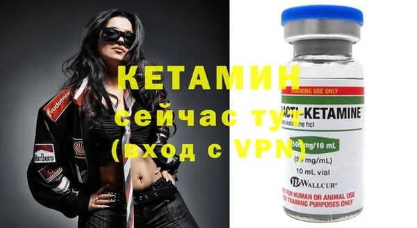 шишки Пестово