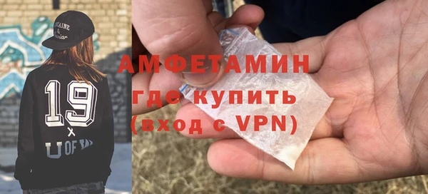 шишки Пестово