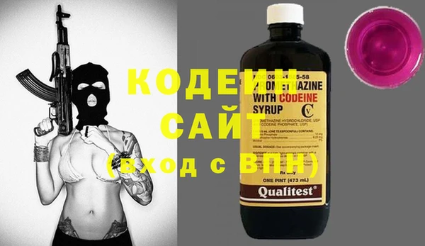 индика Пересвет