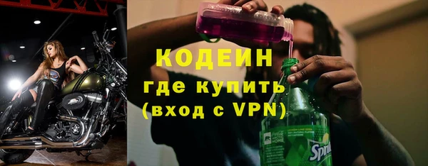 индика Пересвет