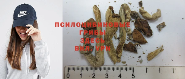 дмт Переславль-Залесский