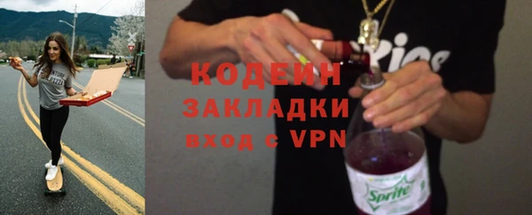 шишки Пестово