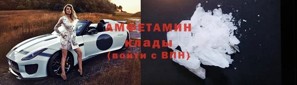 индика Пересвет