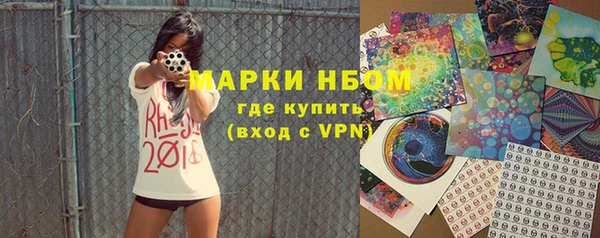 дмт Переславль-Залесский