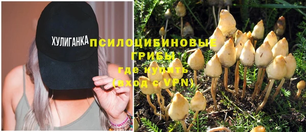 соль ск Покровск