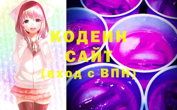 шишки Пестово