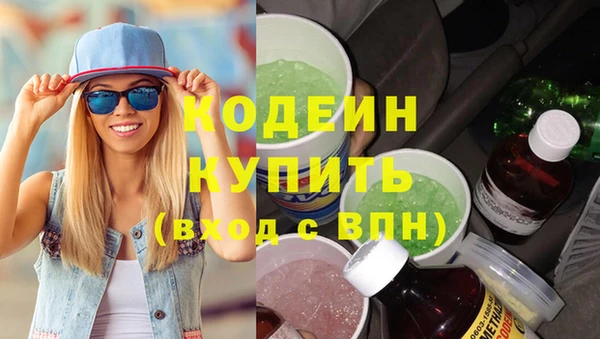 шишки Пестово