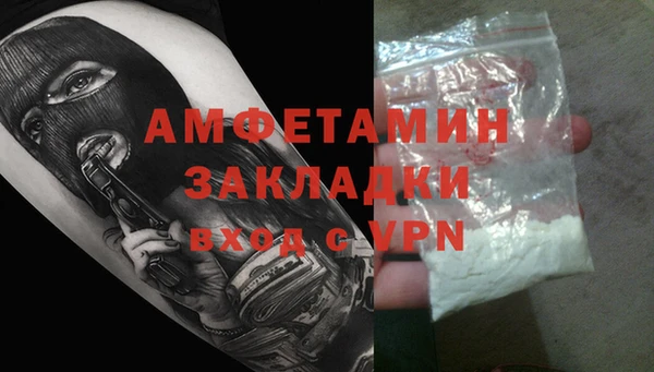 шишки Пестово