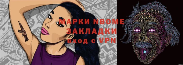 индика Пересвет