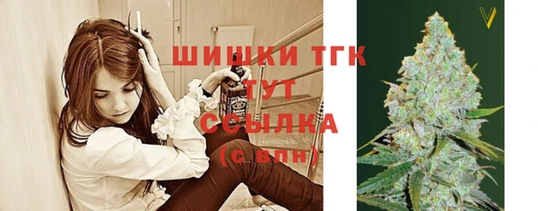 мдпв Покачи